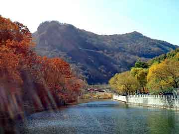 管家婆黑白马报图库，浩瀚影院